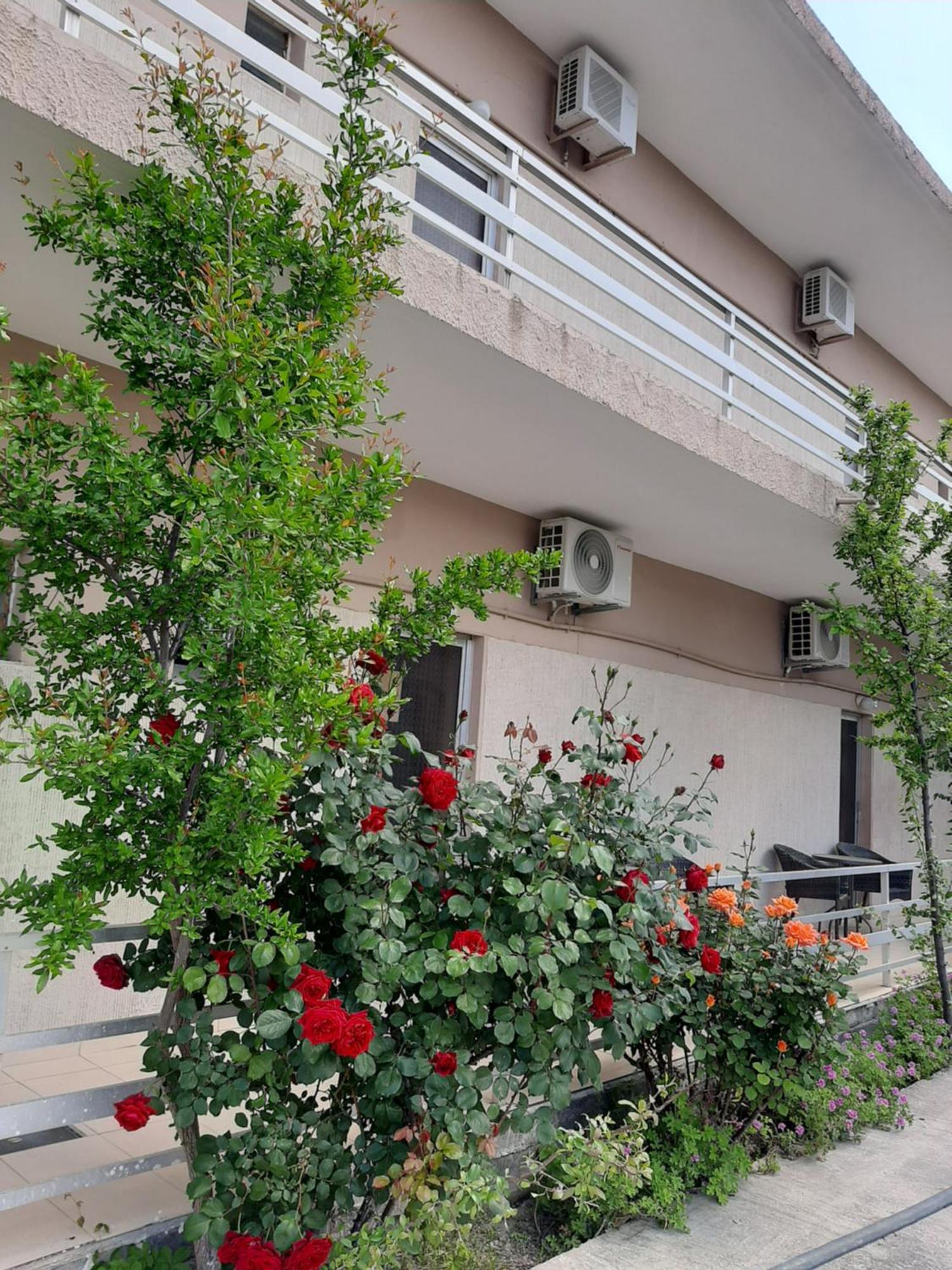 Studios Mona Агиос Георгиос Екстериор снимка